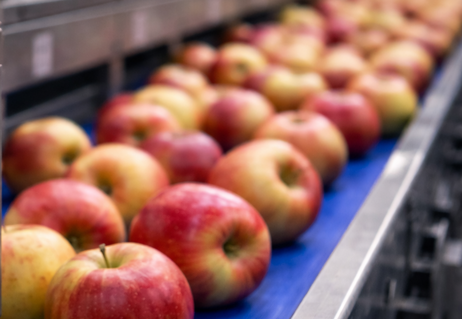 Predicting mainteinance in FMCG factory