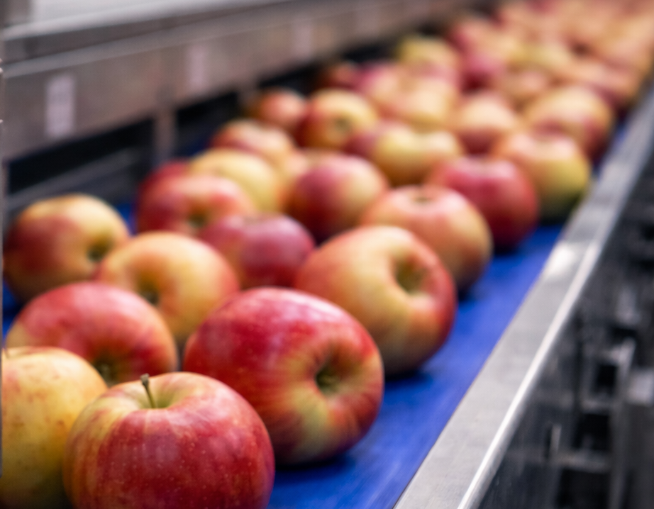 Predicting mainteinance in FMCG factory